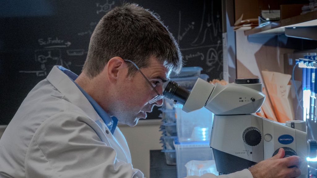 UNCG professor Dr. Nicholas Oberlies looks into a microscope